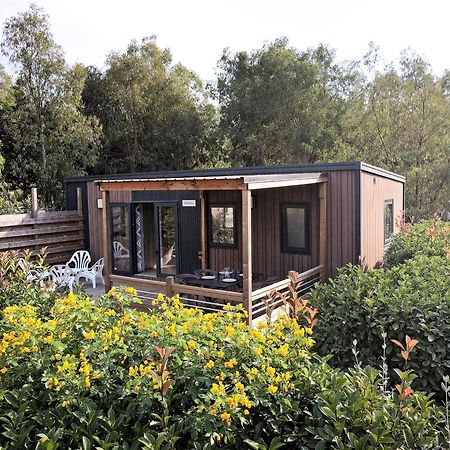 Camping Les Castors Калви Екстериор снимка